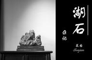 苏州湖石文化：作为苏州人，你对太湖石有多深的了解？
