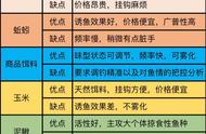 探讨钓鱼鱼饵的优缺点：实用指南