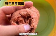 钓鱼高手的三宝：饵料解析