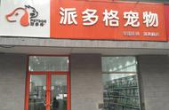 宠物店投资指南：预算、成本及盈利分析