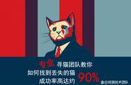 猫咪走失不要急，快速找猫方法助你找回它