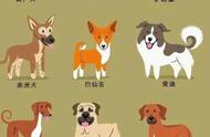 超可爱狗狗图鉴：全球知名犬种及其原产地大揭秘