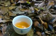 普洱茶的春茶、秋茶和夏茶，究竟哪个口感更佳？