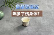 白茶的真相：是寒凉还是温和？