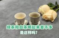 揭秘绿茶和白茶的四大区别，别再买错了