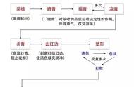 揭秘铁观音：从茶叶到茶杯的完美转变