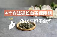 不用冰箱也能保存白茶，这4个方法让你的茶放10年不变质