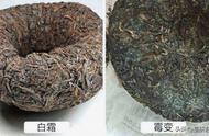 普洱茶的真相揭秘：是发霉茶还是健康饮品？