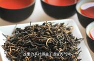 品味祁门红茶：体验中国传统与现代品质的完美结合