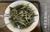 白茶中的春茶秋茶各有千秋，夏天的夏茶去了何方？