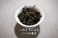 白茶爱好者福音：一文读懂散茶与饼茶的差异！