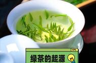 探索绿茶的起源，带你了解不同品种