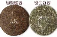 普洱茶知识合集：从零开始学普洱茶