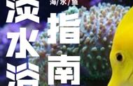 初学者必备：淡水浴的正确操作步骤和注意事项！