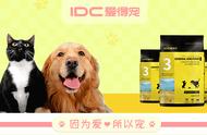 萌宠大观：最受欢迎的小型犬一览