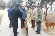 公安机关对犬类管理加大力度：39种禁养犬成为重点监管对象