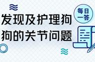 「每日一课」如何识别和护理你的狗狗的关节问题？