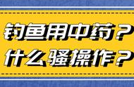 邓老师的钓鱼秘诀：中药的神奇力量