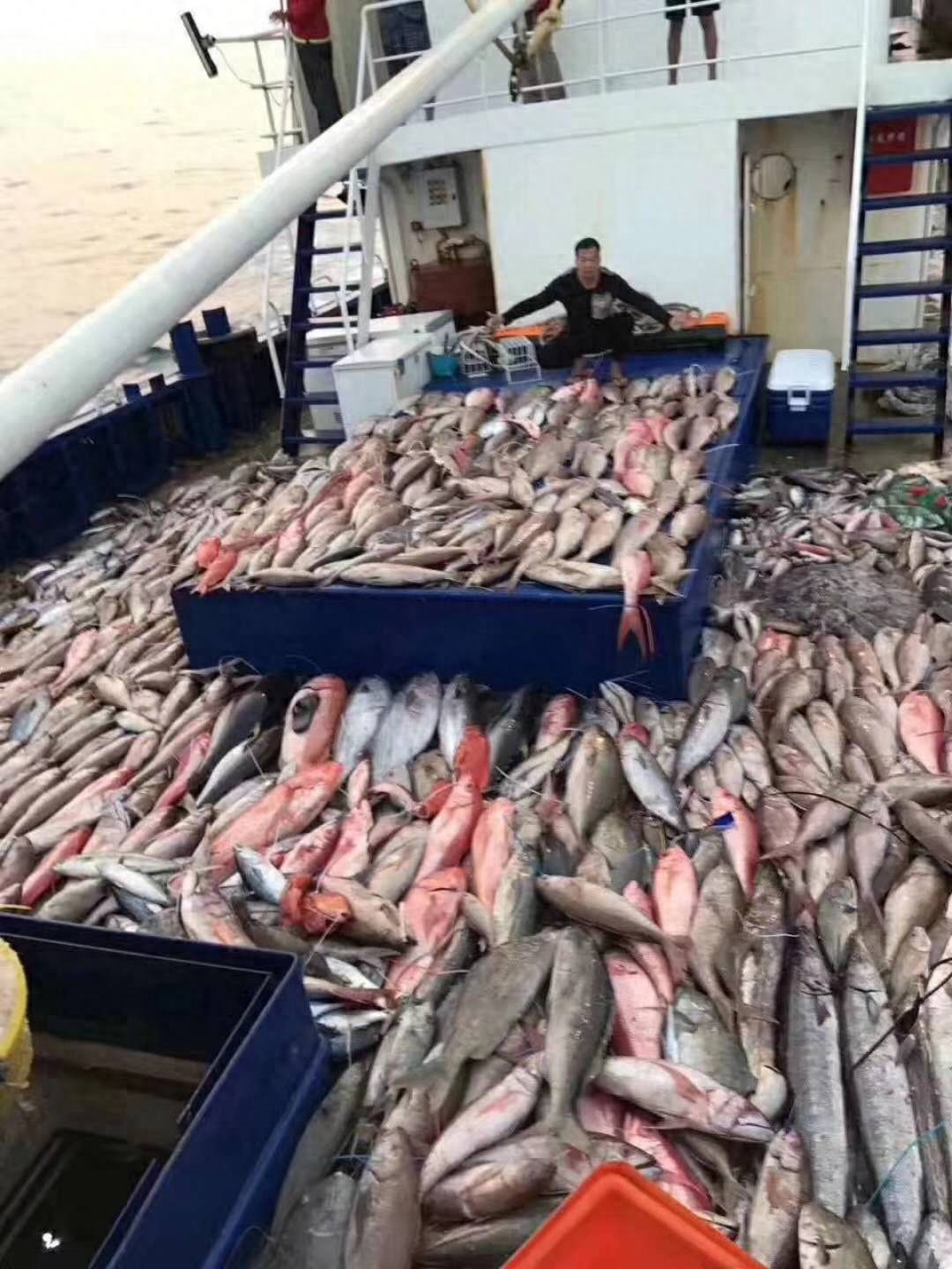 美东野外钓鱼出海钓鱼日常！