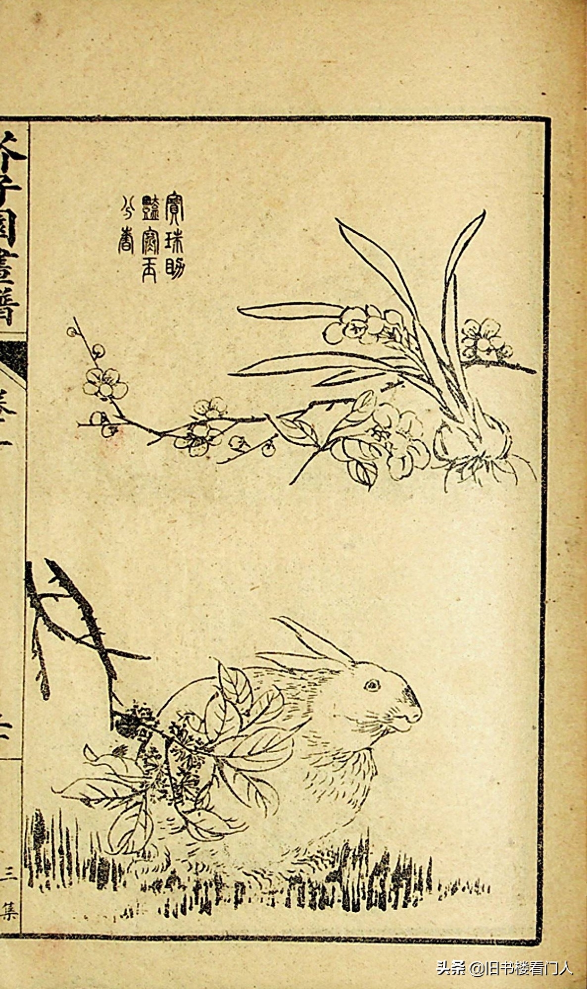 艺术类学画必修之书－《芥子园画谱·草虫花卉谱》