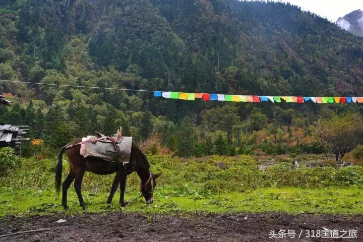 不去天堂，就去雨崩：与世隔绝的徒步圣地——雨崩