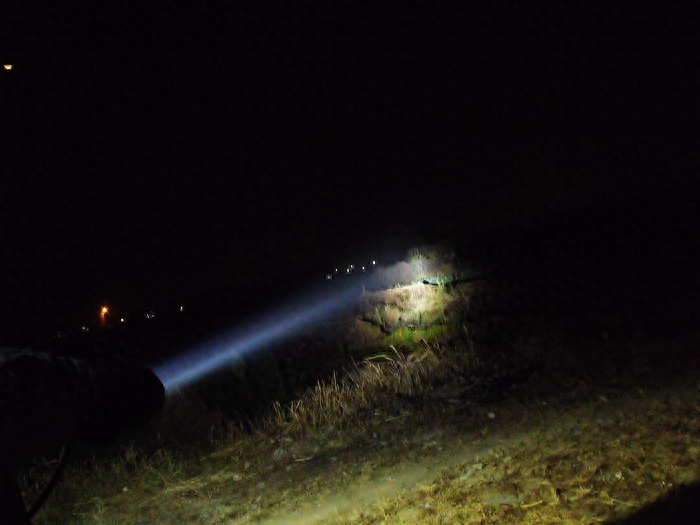 夜钓灯选择什么颜色的好，记住这几点就行